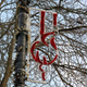 Illustration for article titled Pics from the Curbside: Christmas Day 2018 at Kerrisdale